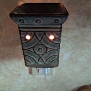 Scentsy plug in